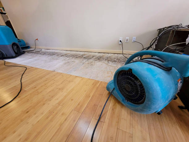 Professional Basement Flood Cleanup technician working in Santa Clara, OR